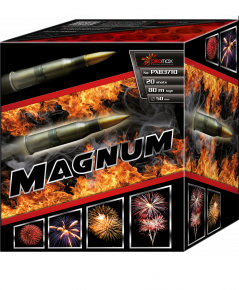 Magnum 20 lovituri / 50mm