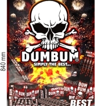 Poster Dum Bum 1buc